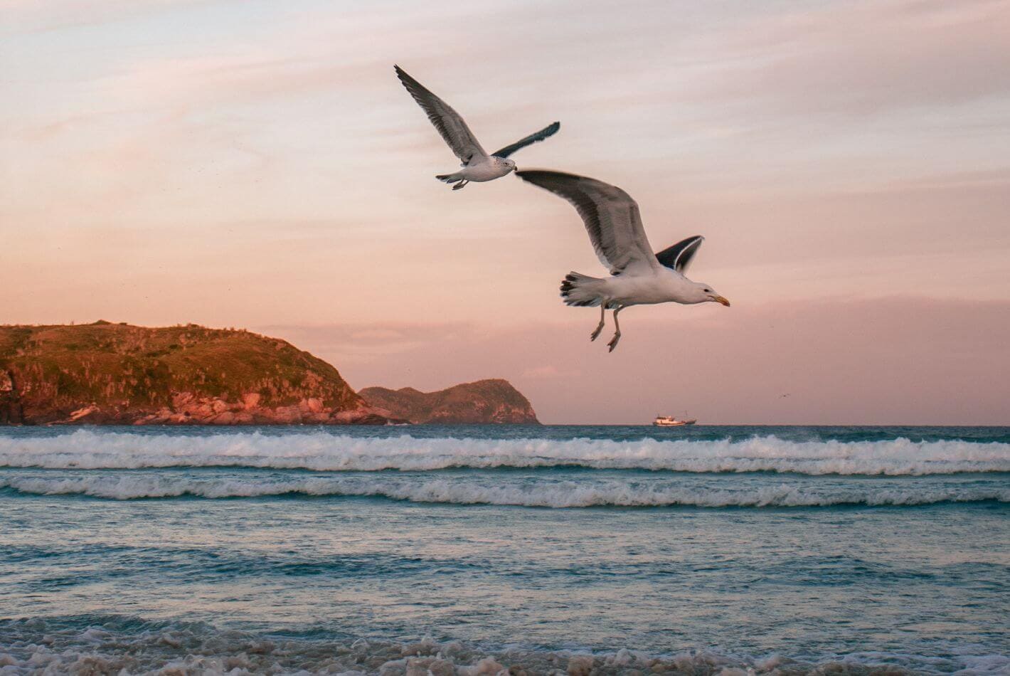 Praia